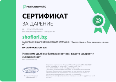 Certificate for a donation from PavelAndreev.org with a green seal on the right side