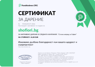 Certificate from PavelAndreev.org for a donation, featuring bold Bulgarian title 'СЕРТИФИКАТ' and a green seal on the right.